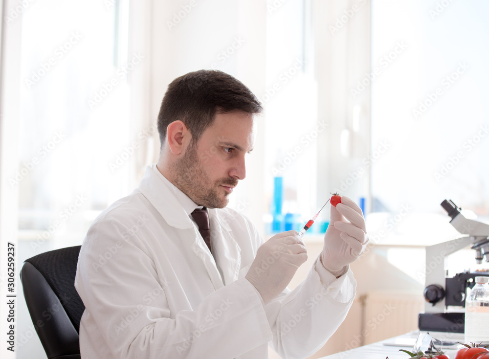 Scientist testing tomato in lab Scientist testing tomato in lab