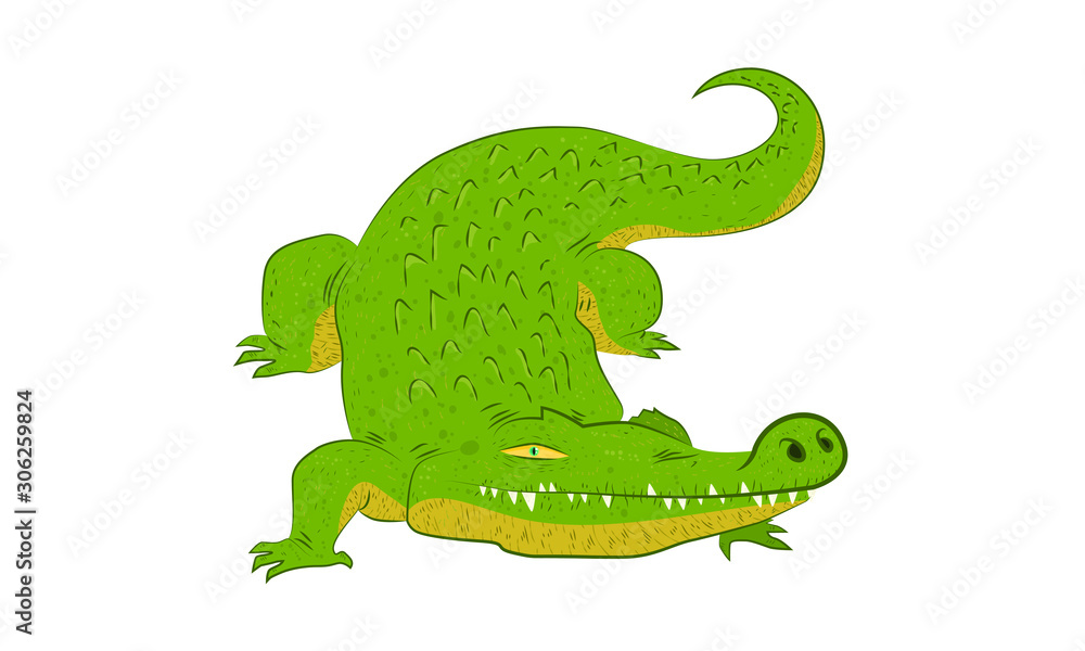 Fototapeta premium Crocodrile