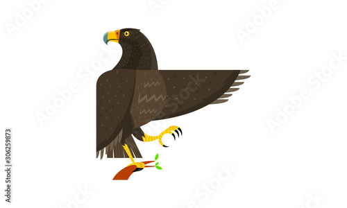 Eagle
