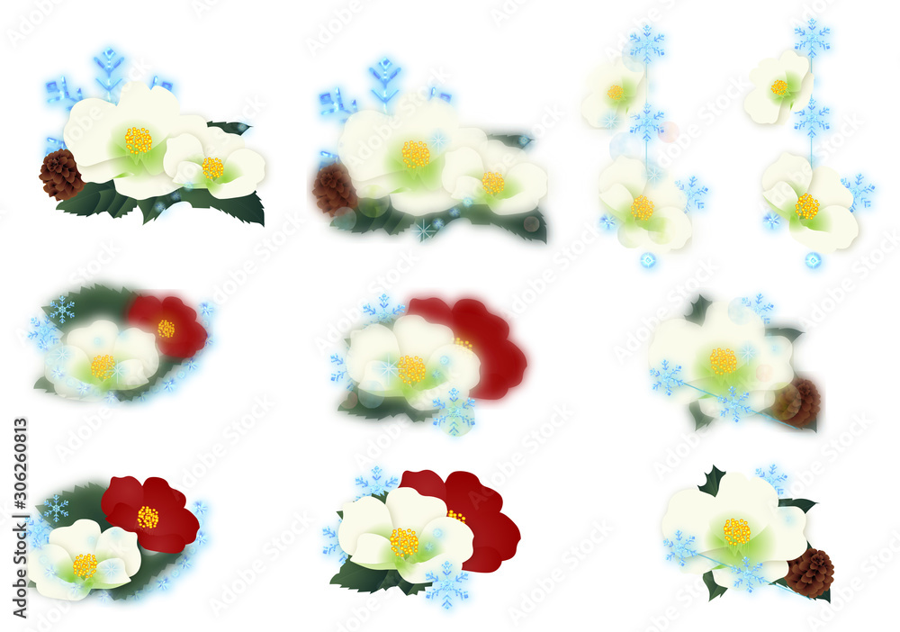 椿の花と雪の結晶のイラストセット素材