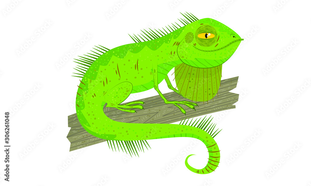 Obraz premium Iguana
