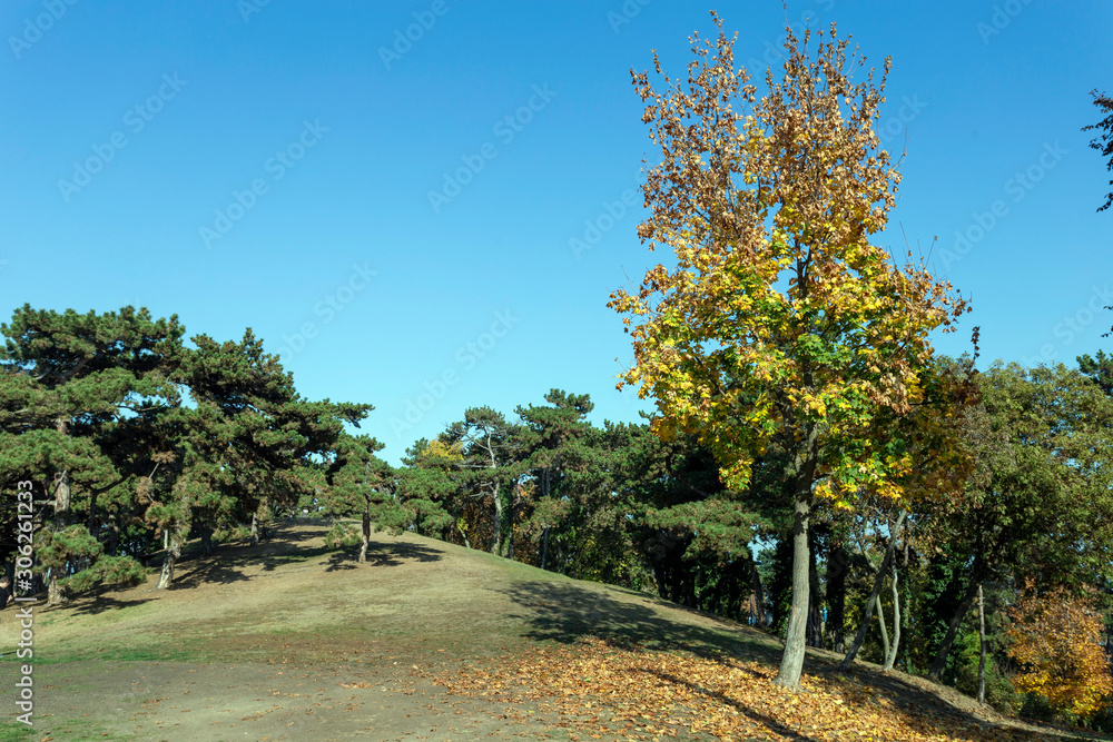 Autumn park in Balatonboglar