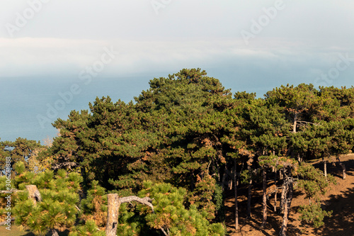 View of the foggy Balaton photo