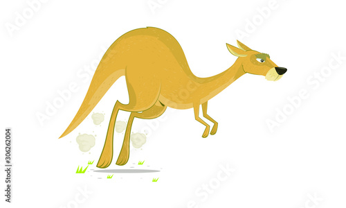 Kangaroo