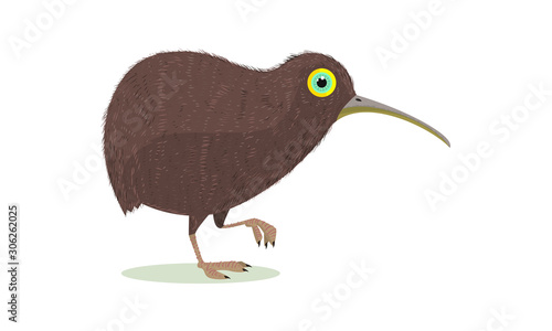 Kiwi