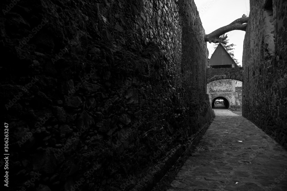 Black and white portrait taken in Huasca de Ocampo Mexican town Black and white portrait taken in Huasca de Ocampo Mexican town