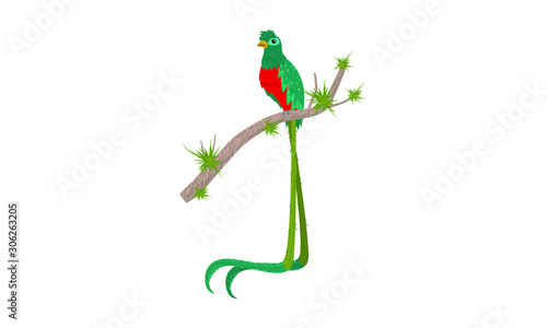 Quetzal