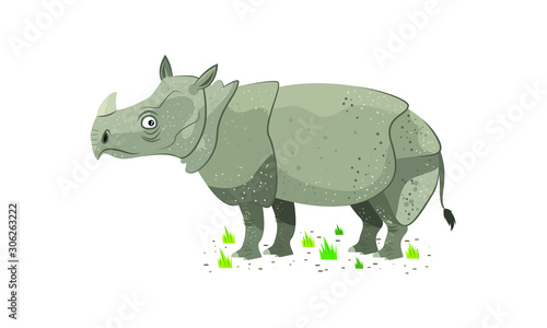 Rhinoceros