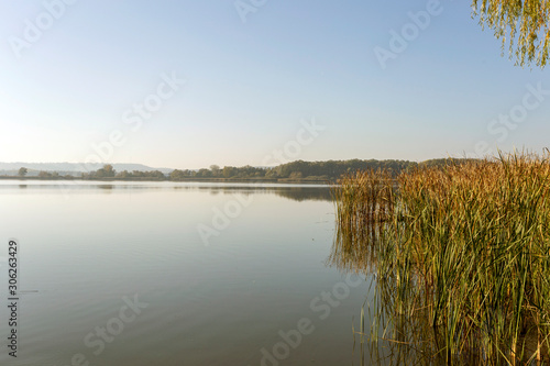 View of the Kis-Balaton from the island of Kanyavar