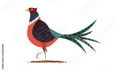 Pheasant