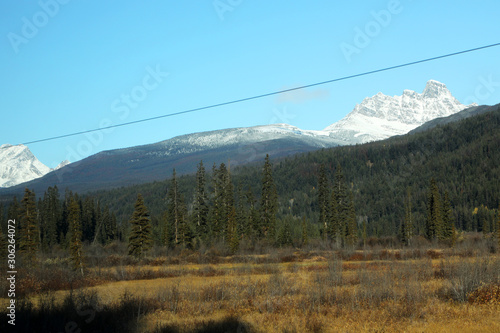 The wonderful train journey from Jasper to Vancouver in British Columbia, Canada in Autumn.  With train, trees, foliage and snow capped mountains © jacquimartin