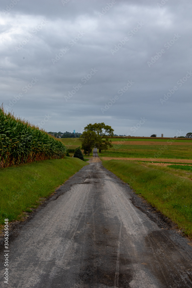 Amish country lane, Lancaster County, Pennsylvania