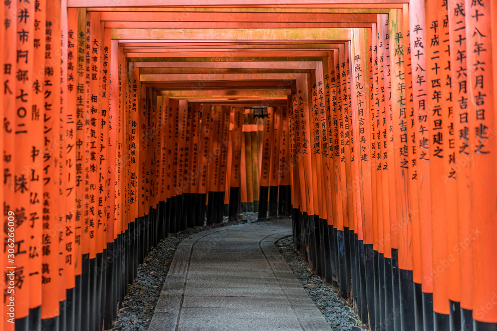 Fototapeta premium Curved corridor of Red Torii gates at Fushimi Inari Taisha Shinto shrine. Fushimi-ku, Kyoto, Japan