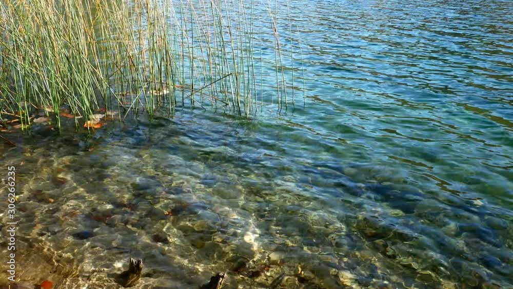 Blue Lake Water Surface Ripples and Grass Plitvice Lakes National Park Croatia Blue Lake Water Surface Ripples and Grass Plitvice Lakes National Park Croatia