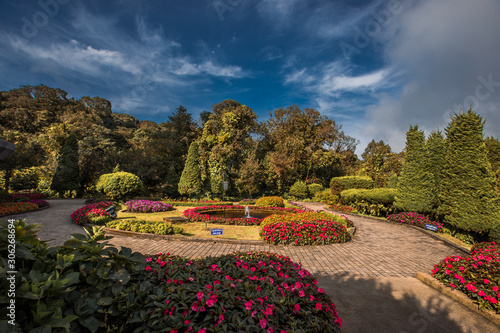 The blurred abstract background of the park's various vegetation, beautifully decorated gardens, relaxing from work and surrounded by green nature, refreshing during the day.