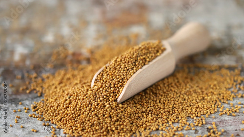 Grains of mustard in a wooden spatula. Selective focus. Macro.