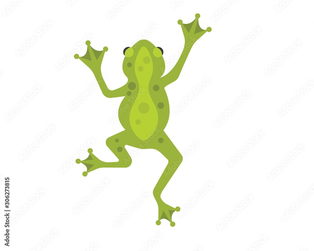 Obraz premium Frog Logo Template vector illustration