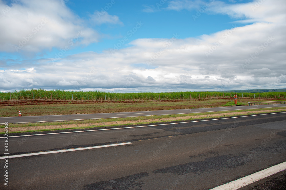 Fototapeta premium State road - highway