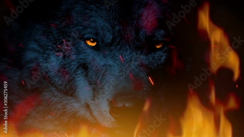 Powerful Alpha Wolf Growls In Raging Fire