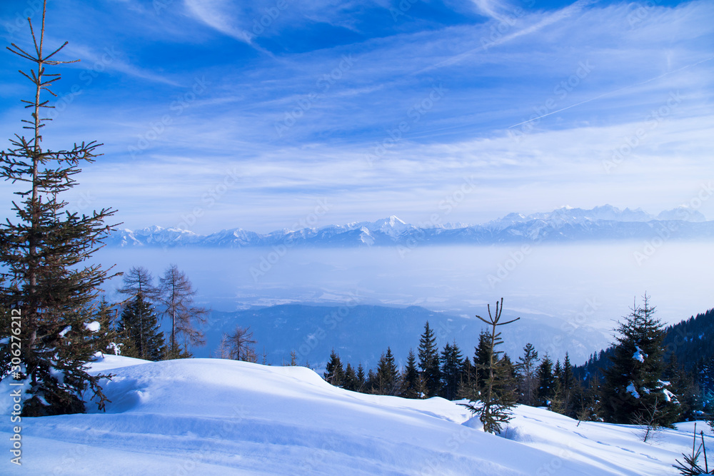 Fototapeta premium Fantastic winter landscape, sunset, snow covered trees