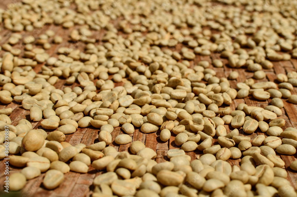 macro dry coffee bean on bamboo weave macro dry coffee bean on bamboo weave
