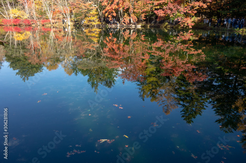 雲場池の水面に映る紅葉
