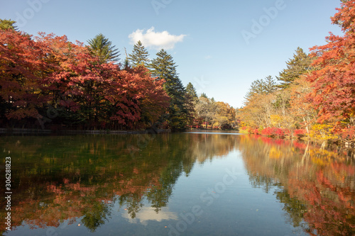 雲場池の水面に映る紅葉