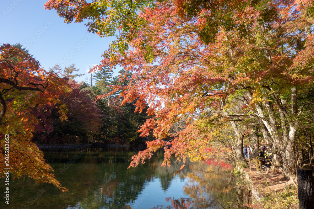 軽井沢の雲場池と紅葉