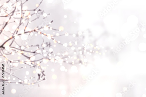 Glitter sparkles on branches of tree blur pattern. White winter subtle background.