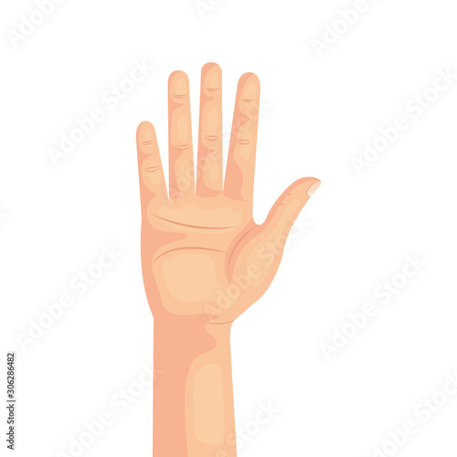 hand person human isolated icon vector illustration design
