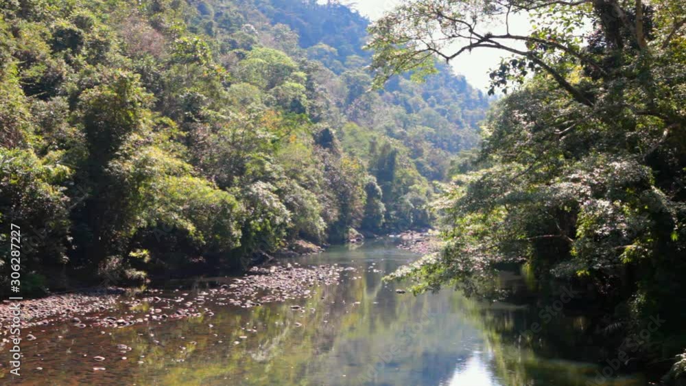 tropical river stream in jungle in bali indonesia tropical river stream in jungle in bali indonesia