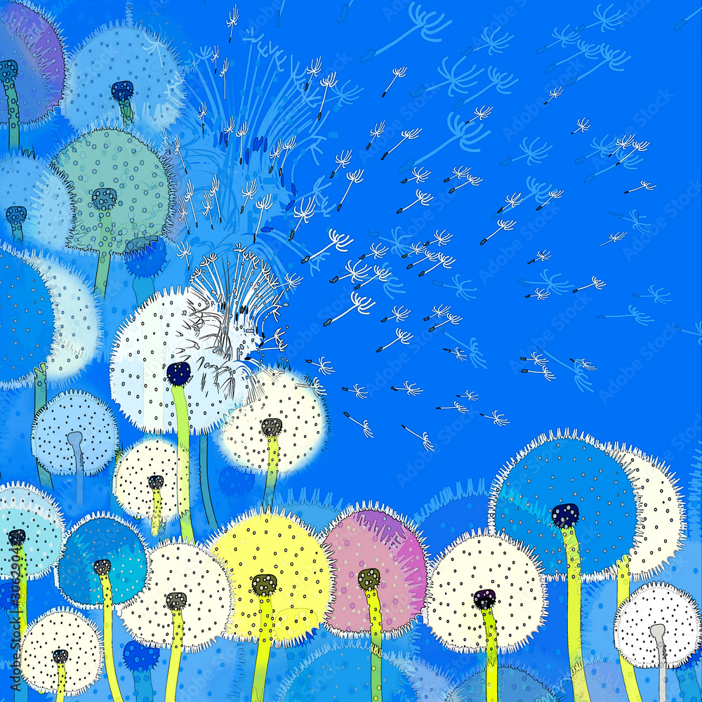 Fototapeta Background with abstract colorful dandelions and seeds flying in the blue sky