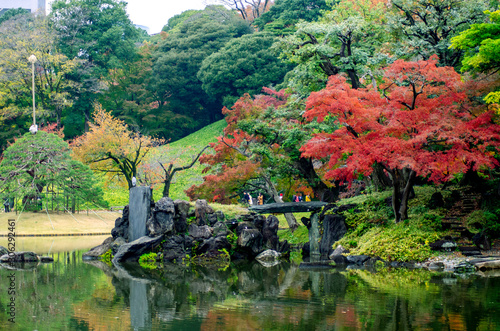 小石川後楽園の美しい紅葉