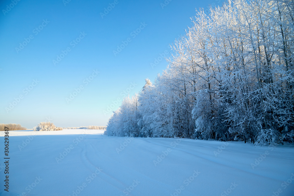 Winter landscape with forest and field in a sunny day Winter landscape with forest and field in a sunny day