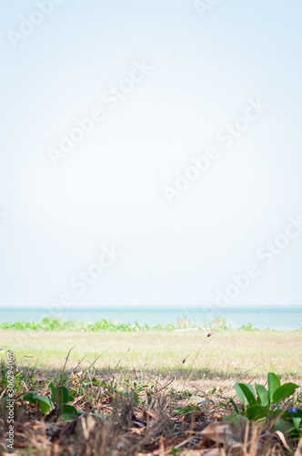 Nhulunbuy, Northern Australia Coastal beach - Arnhem Land Northern Territory Australia 