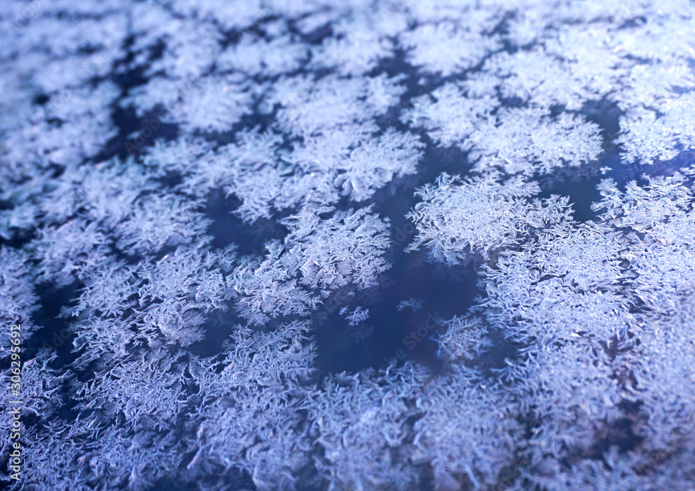Fototapeta premium frost winter pattern