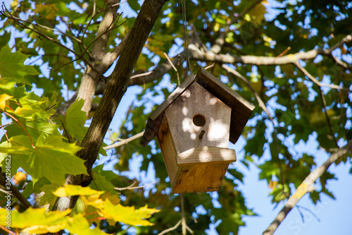Wooden homemade birdhouse hanging on a tree