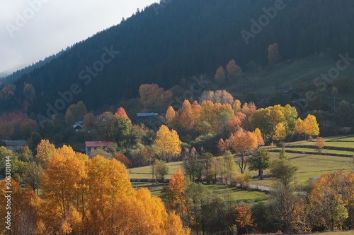 autumn forest nature image, scenic view mountains.