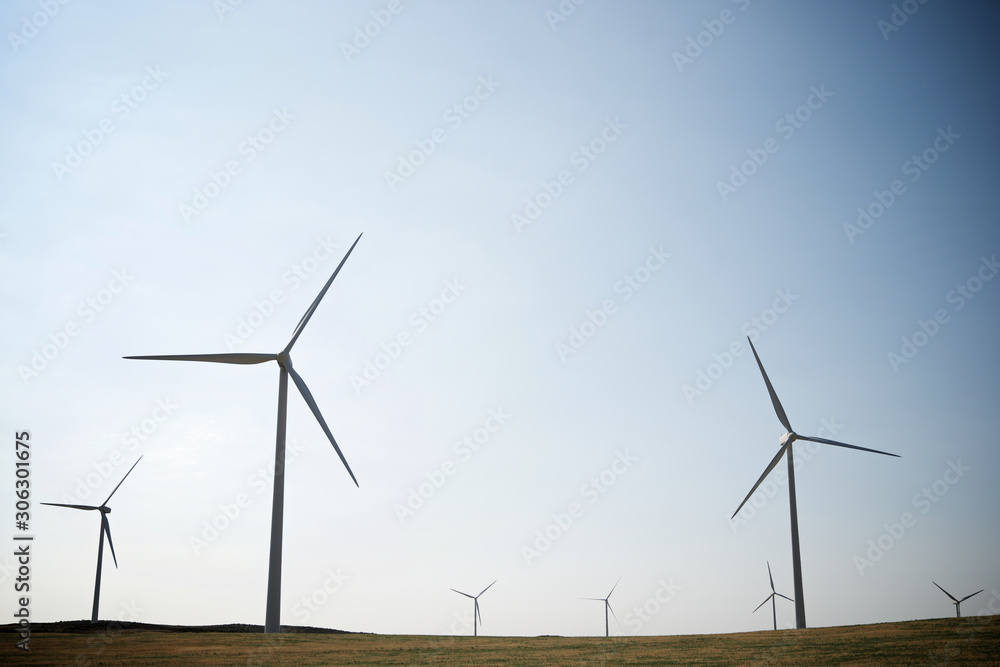 Fototapeta premium Wind energy concept