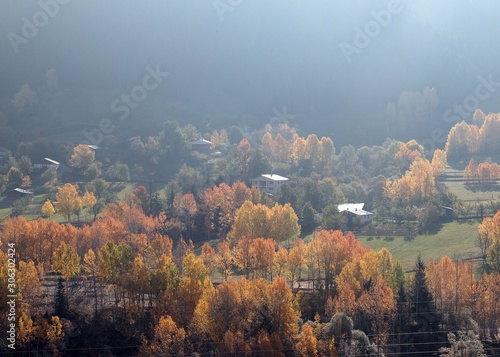 autumn forest nature image, scenic view mountains.