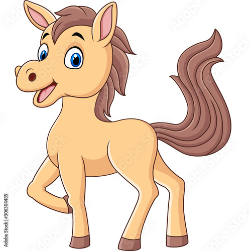 Cute baby pony cartoon isolated on white background