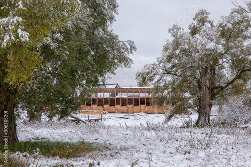 The first snow at the forest edge