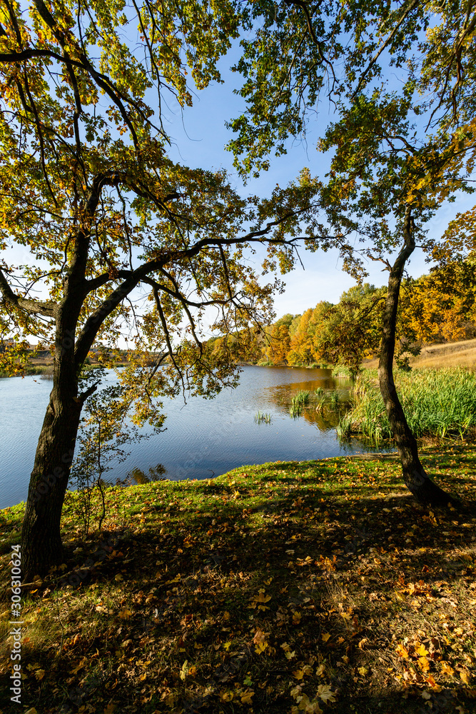 autumn in park autumn in park