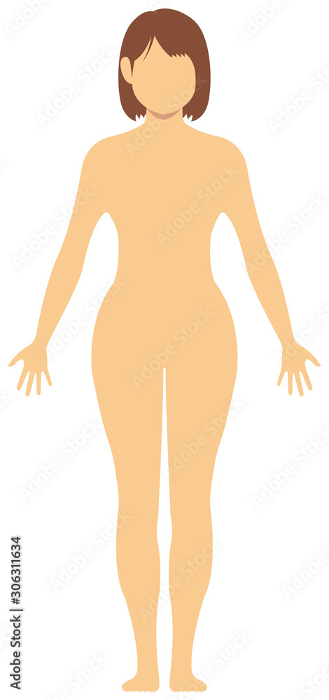 Fototapeta premium Faceless naked woman /nude body , silhouette , outline shape vector illustration /Asian (Japanese,Chinese,Korean etc.)