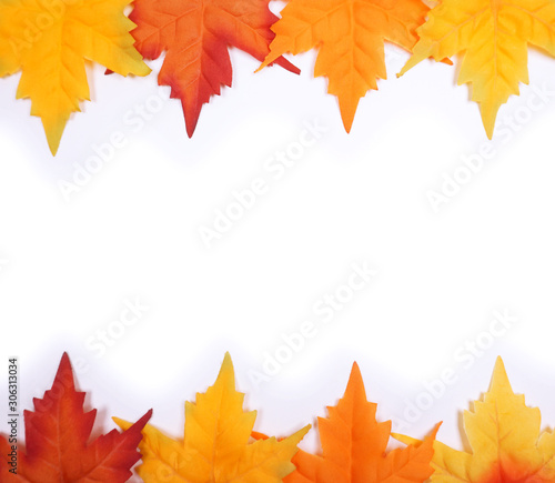 Autumn leaves, Autumn background, Colors of Fall with copy space for your own text