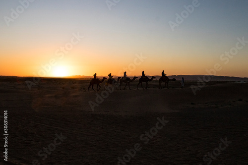 Paseos en Camello por el desierto de Zahora