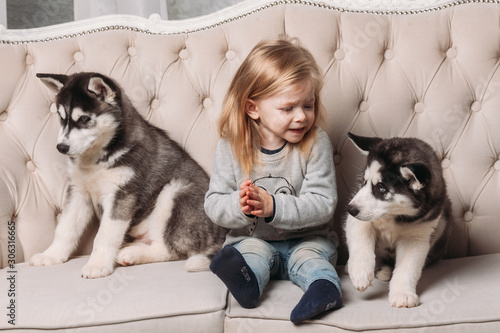 blonde girl with Husky puppies