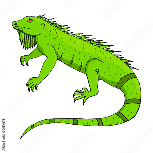 Isolated varan. Cartoon lizard isolated on white background. Colorful design for kids coloring page  colouring picture. Vector illustration for children.