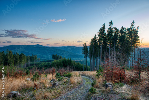 forest road after sunset in the mountains , czech beskydy