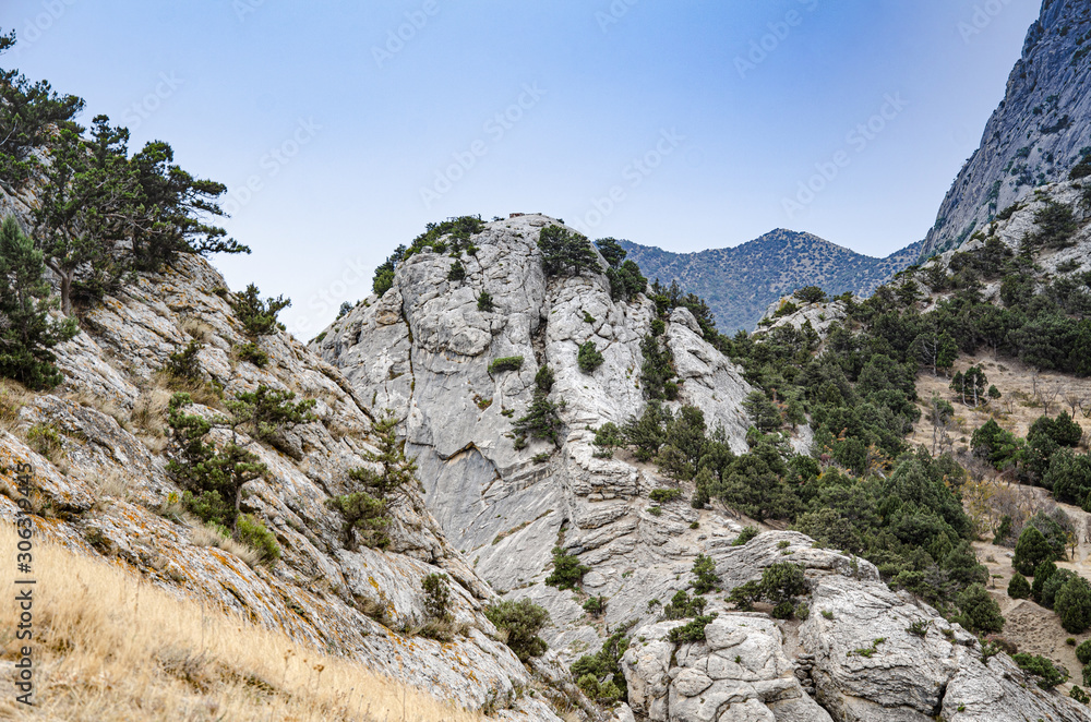 Mountain landscape, slope and mountain vegetation.